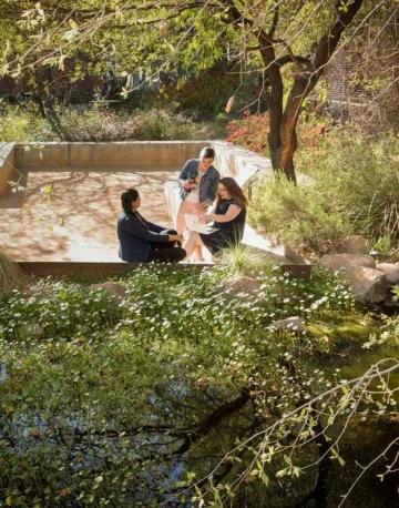 Students working in the garden
